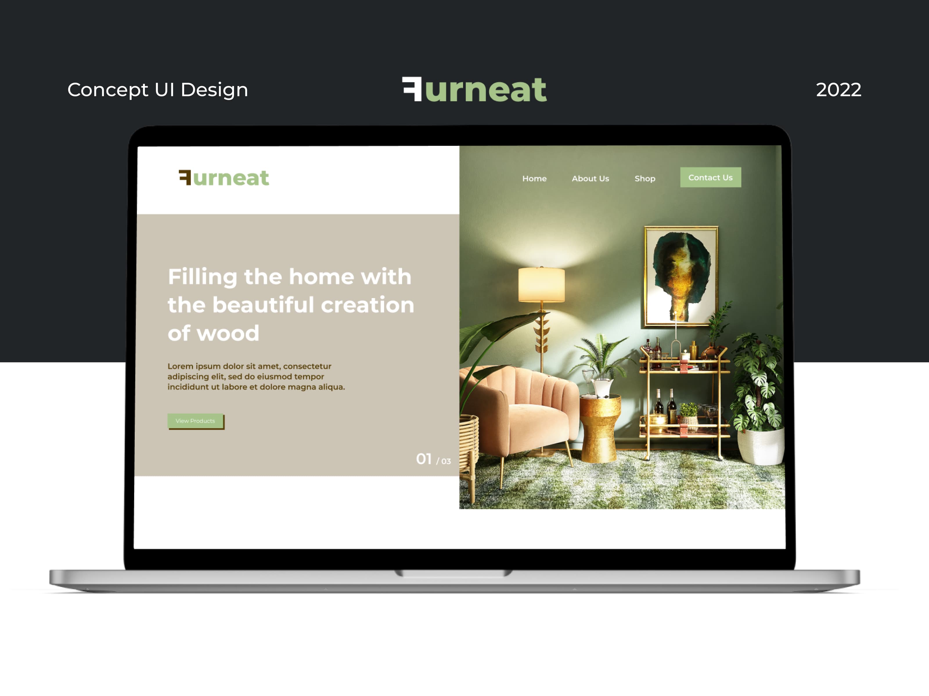 Furneat — Furniture Webpage Concept
